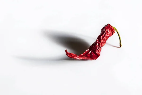 One dried red chili or chilli cayenne pepper with shadow isolated on white background cutout Stock Picture