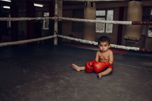 Un niño pequeño con guantes de boxeo se sienta en el suelo del anillo . —  Fotos de Stock
