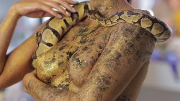 Woman with snake body art and serpent posing — Stock Video