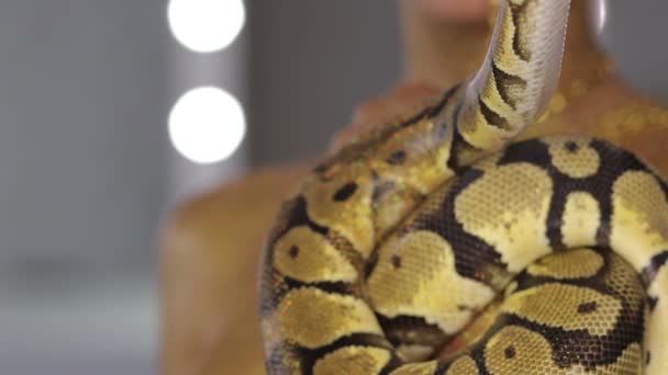 有身体艺术的女人牵着蛇 — 图库视频影像