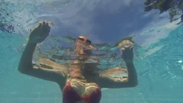 年轻女子在游泳池里游泳 — 图库视频影像