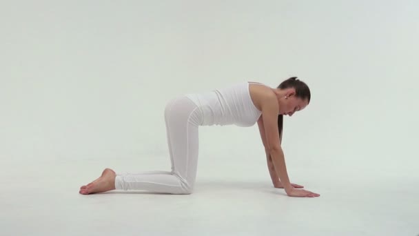 A jovem mulher esportiva encantadora fazendo a ponte lateral no tapete de exercícios no fundo branco . — Vídeo de Stock