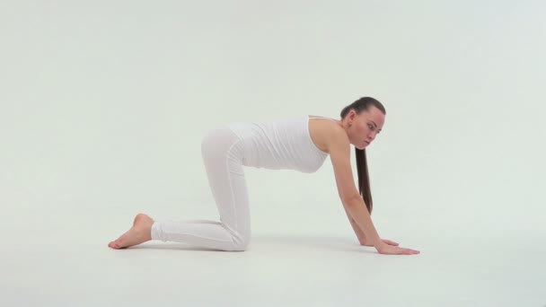 Exercises for warming up. Attractive sportive woman is lying on the mat with the leg on the knee and lifting uo her back — Stock Video