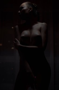 Genç seksi çıplak kadın karanlık odada poz