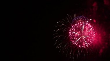 İnanılmaz Firework Göster. Gece Gökyüzüne Karşı Selam Çiçekler parlak Splashes. Zafer Bayramı.