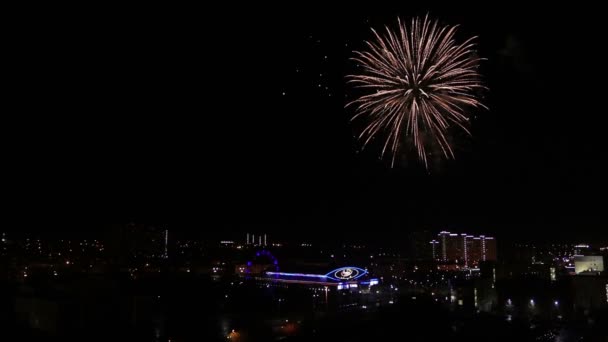 素晴らしい花火ショー。夜空に対する敬礼の花の明るいスプラッシュ。勝利の日. — ストック動画