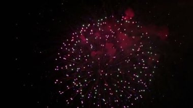 İnanılmaz Firework Göster. Gece Gökyüzüne Karşı Selam Çiçekler parlak Splashes. Zafer Bayramı.