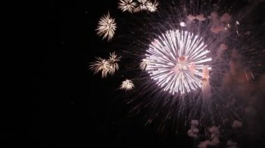 İnanılmaz Firework Göster. Gece Gökyüzüne Karşı Selam Çiçekler parlak Splashes. Zafer Bayramı.