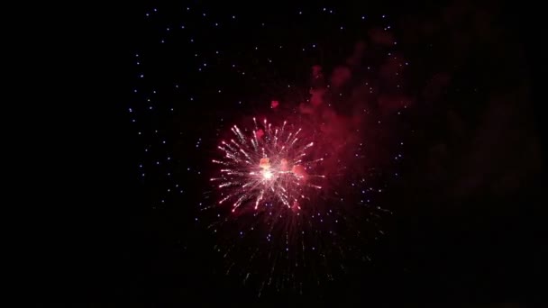Espectáculo de fuegos artificiales increíble. Brillantes salpicaduras de flores de saludo contra el cielo nocturno. Día de la Victoria . — Vídeo de stock