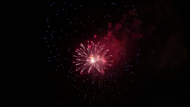 Fantastico spettacolo pirotecnico. Brillanti spruzzi di fiori di salute contro il cielo notturno. Giorno della vittoria . — Video Stock