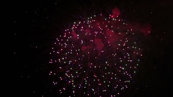 Espectáculo de fuegos artificiales increíble. Brillantes salpicaduras de flores de saludo contra el cielo nocturno. Día de la Victoria . — Vídeo de stock