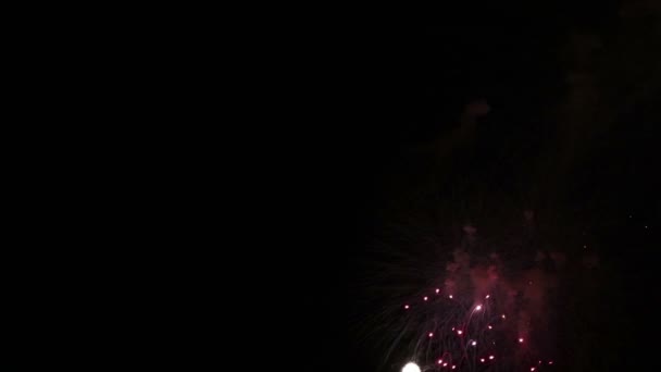 素晴らしい花火ショー。夜空に対する敬礼の花の明るいスプラッシュ。勝利の日. — ストック動画