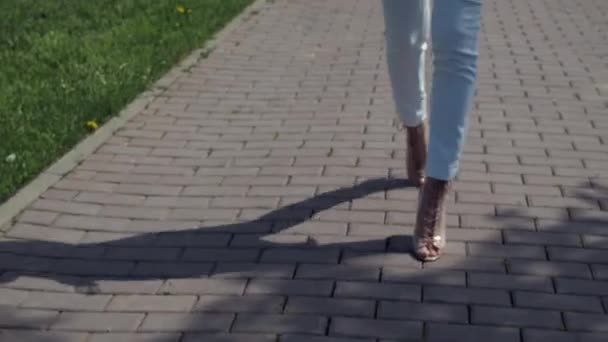 Stylish woman walking on path in park — Stock Video
