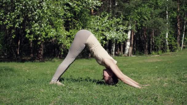 Vrouw doet yoga in het park — Stockvideo