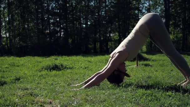 Femme faisant du yoga dans le parc — Video