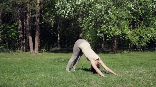 Vrouw doet yoga in het park — Stockvideo