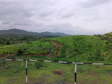 Siyah beyaz çitlerle kaplı, bulutlu gökyüzü güneş ışığıyla aydınlatılmış tropikal orman.