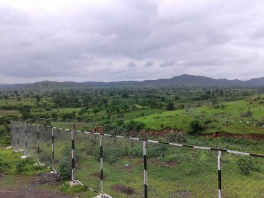 Çitlerle kaplı tropikal orman