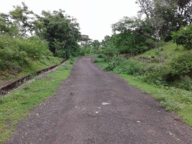 Ormandan çok uzaklara.