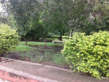 Tropikal sarmaşıklar ve yemyeşil ağaçlarla çevrili bir kemerin altındaki tünelde fayanslı park yolu. Bahçe ve Yol