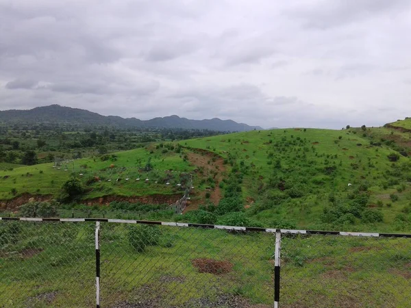 Siyah beyaz çitlerle kaplı, bulutlu gökyüzü güneş ışığıyla aydınlatılmış tropikal orman.