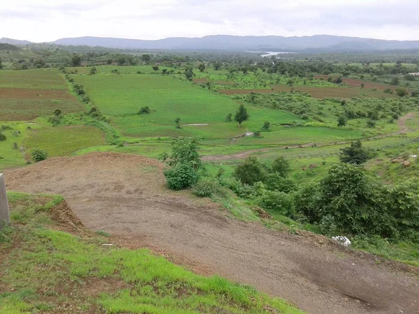 Çiftliğe giden yol.