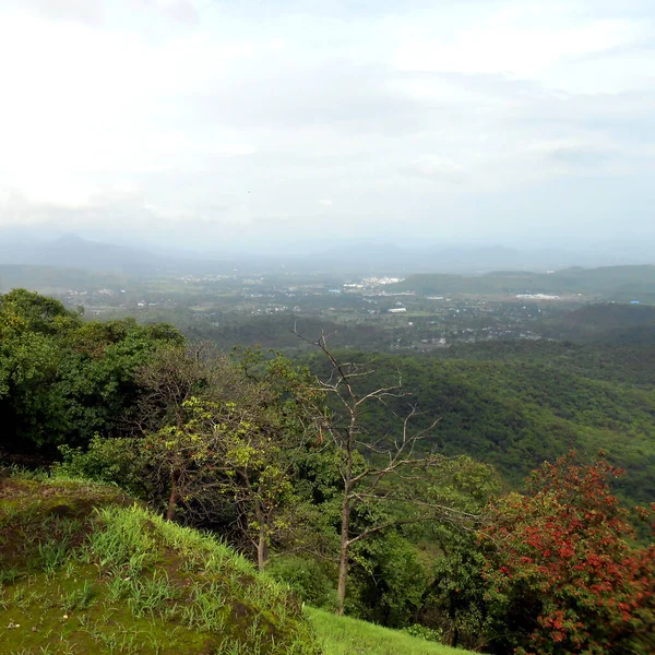 Tipik Orman Görünümü Dağdan — Stok fotoğraf