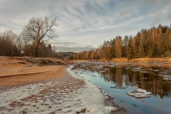 Lilla Floden Gauja Lettland Höst — Stockfoto