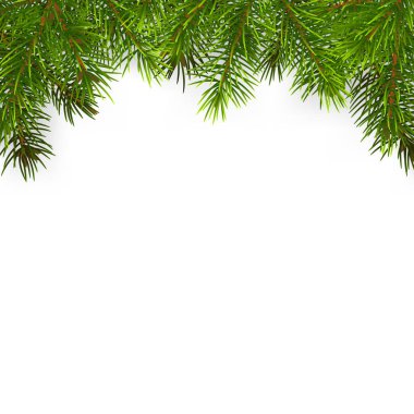 Noel arka plan yeşil dallar izole.