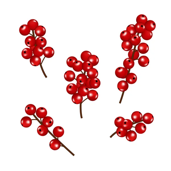 Weihnachten Rote Beeren Set Isoliert Auf Weißem Hintergrund — Stockvektor