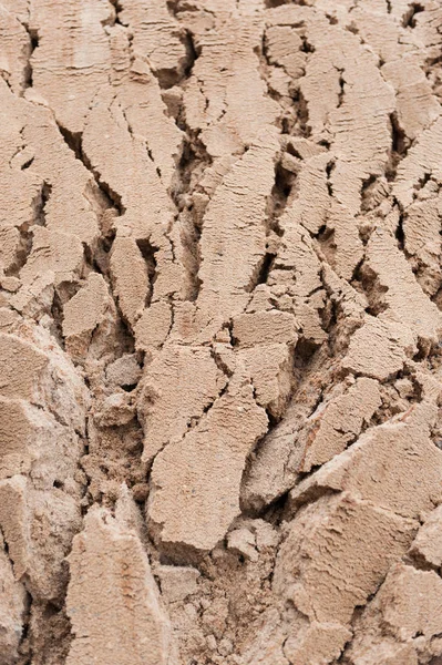 stock image background deep cracks in wet sand