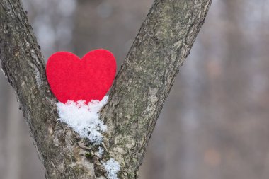 Sevgililer kalp karda iki ağaç arasında