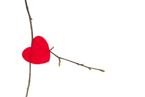 Valentijn hart ligt op een boomtak, geïsoleerd — Stockfoto