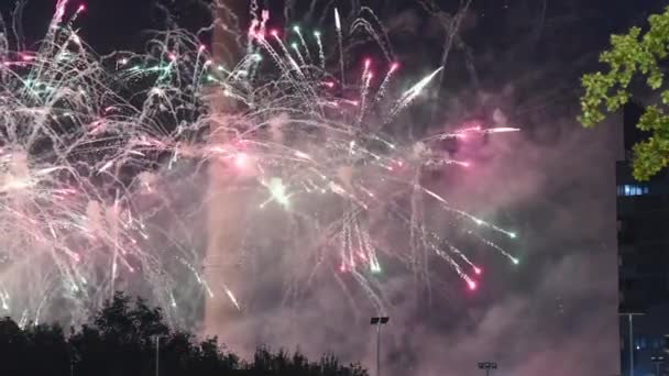 Fireworks over the TV tower, Moscow, Russia — Stock Video