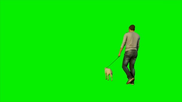 Caucásico paseando a su perro contra pantalla verde, Luma Matte adjunto, 4K — Vídeos de Stock