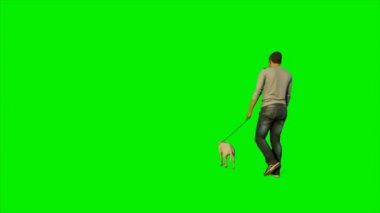 Beyaz yeşil ekrana karşı köpeğini yürüyüş, Luma Matte bağlı