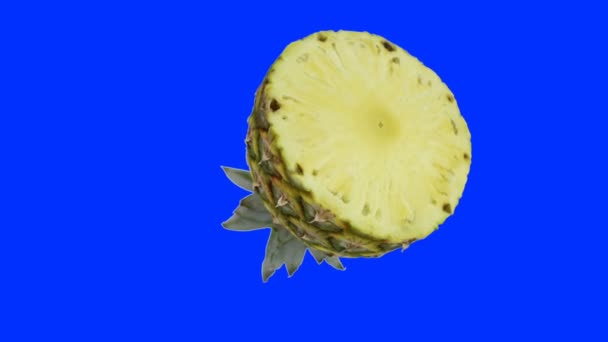 Close up of half pineaple rotating, seamless loop, against Blue Screen — Stock Video