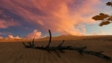 Gün batımında çöl vaha, kamera sinek