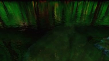 Yalnız ağaç güzel göl yansımaları ile izole kaya üzerinde büyüyen, panning, 4k