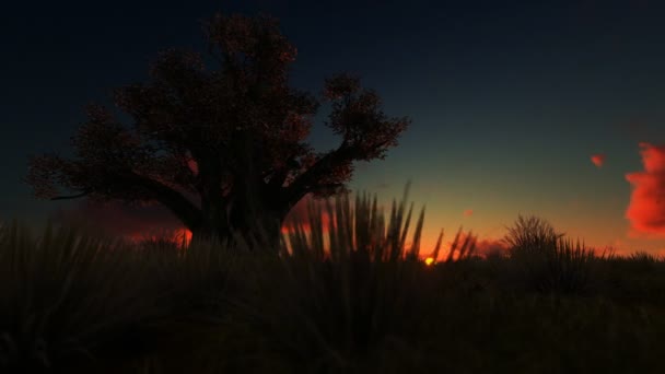 Baobá africano contra belo nascer do sol timelapse, câmera panning, 4K — Vídeo de Stock