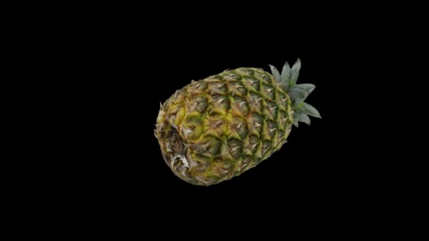 Nahaufnahme der rotierenden, nahtlosen Schlaufe der Ananas gegen Schwarz — Stockvideo