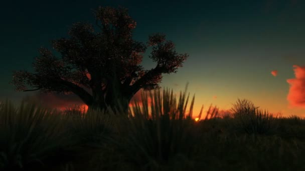 Baobá africano contra o belo nascer do sol timelapse, câmera panning — Vídeo de Stock