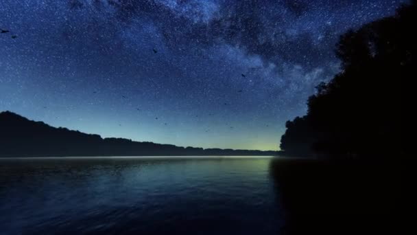 Indah Berlayar Sungai Selama Malam Berbintang Pohon Bakau Sisi Dan — Stok Video