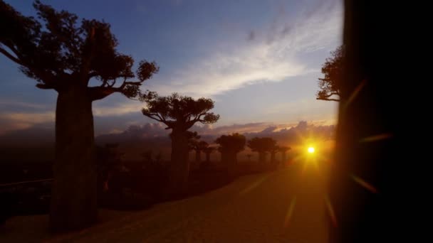 Aleja Drzewami Baobabu Sylwetkami Ptaków Zachodzie Słońca — Wideo stockowe