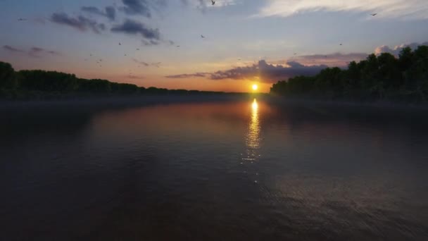 Pohon Bakau Sepanjang Sungai Matahari Terbenam Yang Indah Cakrawala — Stok Video