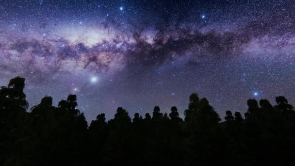 Schöner Sternenhimmel Über Dem Wald — Stockvideo