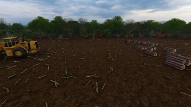 Forte Déforestation Souches Arbres Grumes — Video