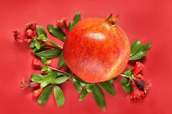 ripe pomegranate with pomegranate flowers and leaves on a red background.top view. copy space