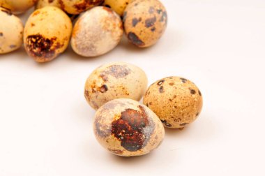 Beyaz arka planda bıldırcın yumurtaları. 