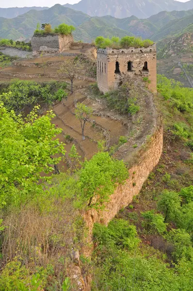 Eski Ekolojik Duvar Kuzey Çin Karaağaç Sırtı Çin Seddi Stok Fotoğraf